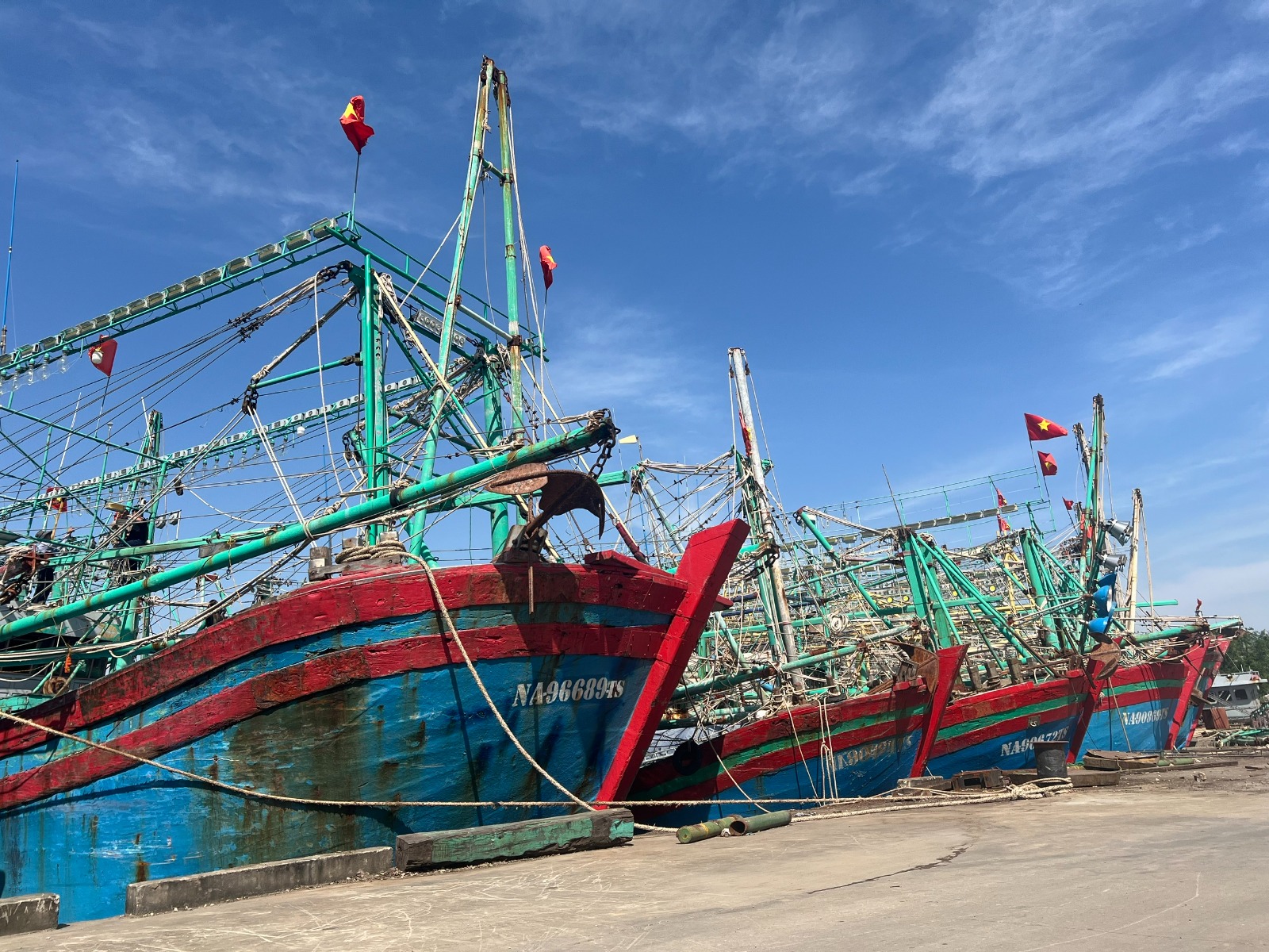 WhatsApp Image 2025-12-05 at 09.56.56